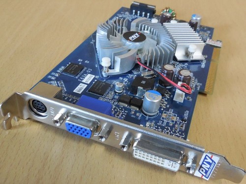 Pny nvidia geforce - nvidia, gs